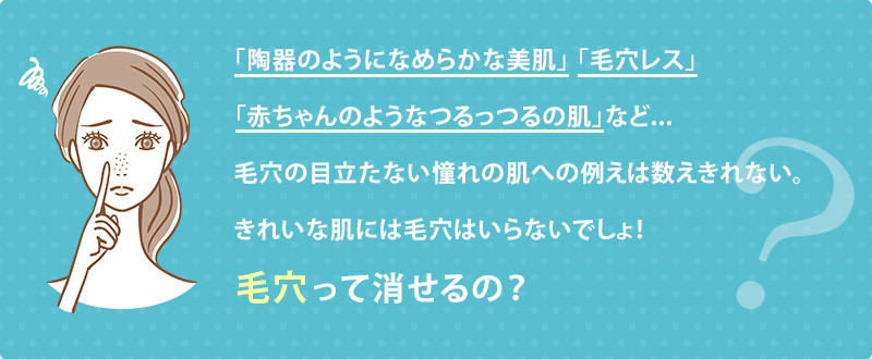 「陶器のようになめらかな美肌」「毛穴レス」「赤ちゃんのようなつるっつるの肌」など...毛穴の目立たない憧れの肌への例えは数えきれない。きれいな肌には毛穴はいらないでしょ！毛穴って消せるの？